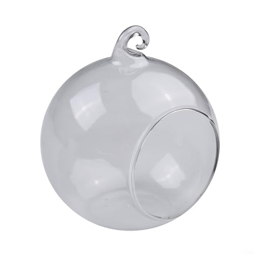 Vaso a sfera in vetro per piante grasse, contenitore in vetro borosilicato trasparente con bocca aperta, foro per appendere e fondo piatto, progettato per la decorazione di casa e negozi (10 cm)
