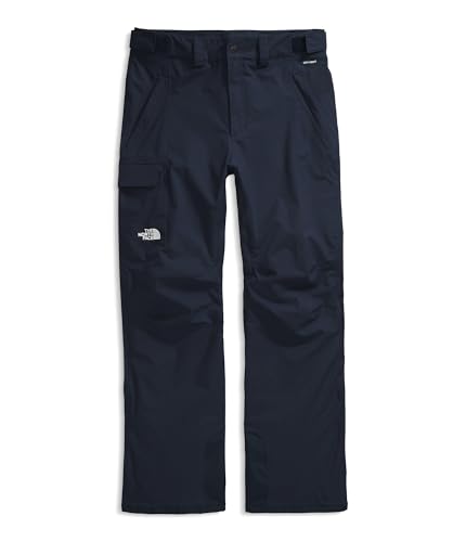 Image of THE NORTH FACE Men's Freedom Snow Pant - Long