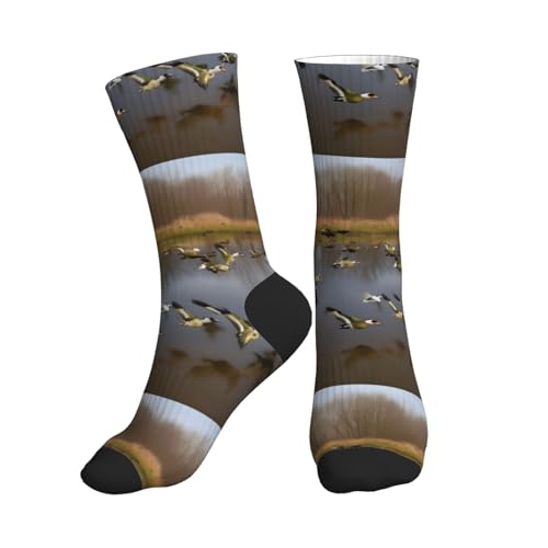 Aubnva Calcetines deportivos con estampado de patos salvajes voladores para hombre y mujer, transpirables, antideslizantes, para gimnasio, trotar y entrenar, 2 Negro-2, Altoa única