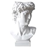 DOITOOL Greek Statue of David Collectible Figurine Cute Vase Vases for Decor Face Flower Dried Flower Vase Decorative Planter Greece Ornaments White Resin