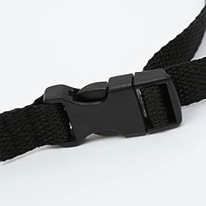 Pets dog treat bag pouch for puppy training and walks   cucciolini doodles