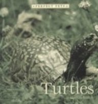 Library Binding Turtles Book