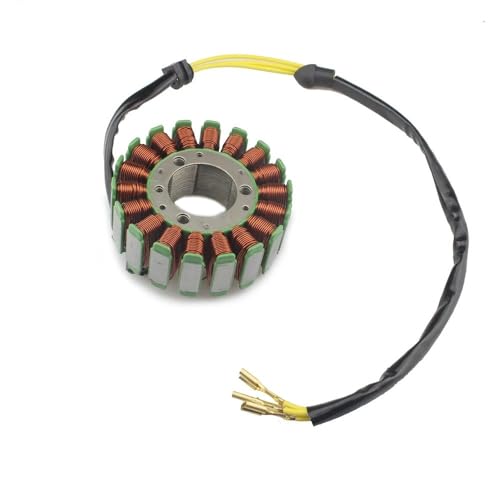Bobine de stator pour RC250 RC390 alternatif aux pièces 90239004000 et 93739004100