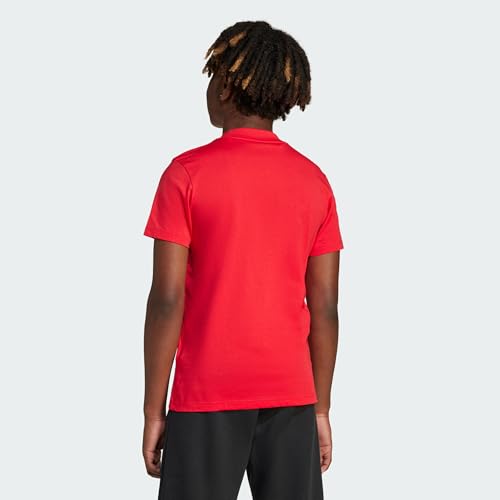 adidas Unisex - Bambini e Ragazzi Essentials Big Logo T-Shirt, Pure Ruby/Black, 11-12 Years