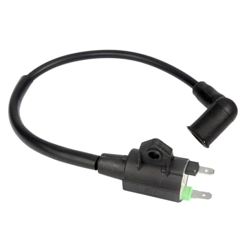 Bobina de encendido de moto y generador a gas ET950 de 12V para motor de gasolina