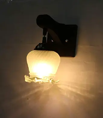 ONECYA ROYAL FANCY Round Wooden Wall Light/Wall Hanging Lamp for Bedroom, Pendant Light Indoor and Outdoor Electric (Pack of 1) Downcya013