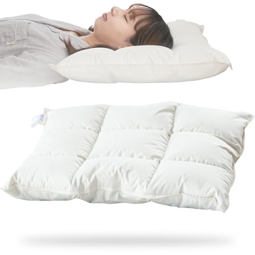 50×70 枕 羽毛」の人気商品一覧 | 安い商品を通販サイトから探す