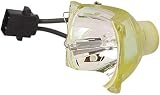 V13H010L94 ELPLP94 Lampe de projecteur pour Epson EB-1780W/EB-1781W/EB-1785W/EB-1795F/PowerLite 1780W/PowerLite 1781W/PowerLite 1785W