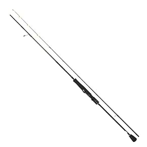 Amazon.co.jp: エギングロッド - ロッド・竿: スポーツ＆アウトドア