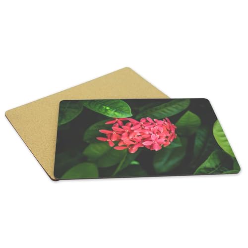 Sets de table souples en liège avec finitions fleurs de Red Ixora