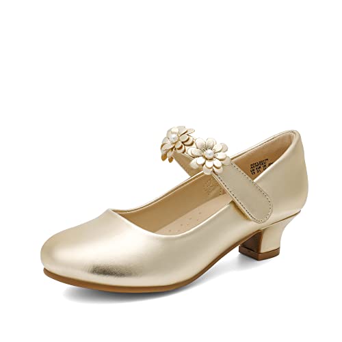 DREAM PAIRS Chaussures Princesse Fille à Paillettes avec Talon Bloc Confortable Escarpins Enfant Déguisement Cosplay Chaussure Mariage Anniversaire...