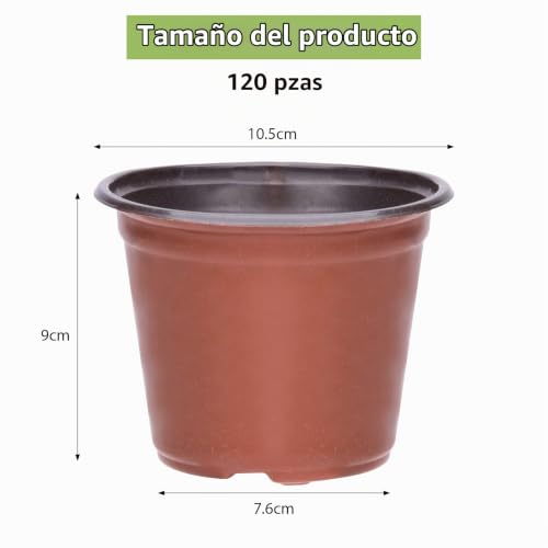 Maceta 4 lbs 3 Imagen adicional
