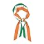 Irish Flag