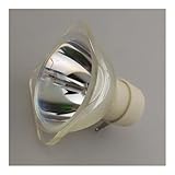 プロジェクターランプ BENQ 5J J5E05.001