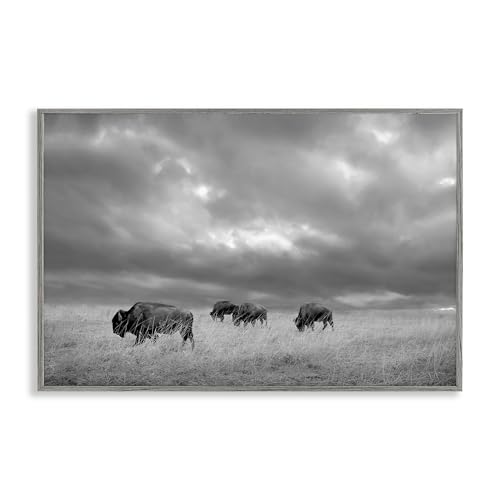 Affiche de bison grise pour salon élégant Stupell Industries 45x30 cm robuste