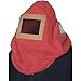 ALC Protective Abrasive Blasting Hood with Bump Cap