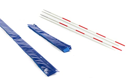Set antenna da pallavolo (blu)