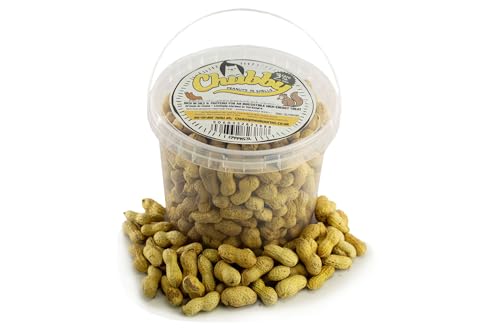 Chubby Peanuts in Shells (3 Litres) Monkey Nuts For Squirrels All Natural Peanuts in Shells for Squirrels and Other Wildlife