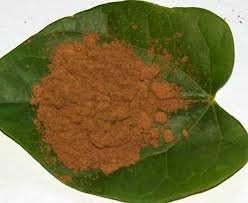 Guarana seed powder Paullinia cupana Brazil 1LB