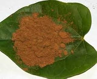 Guarana seed powder (Paullinia cupana) Brazil 1LB