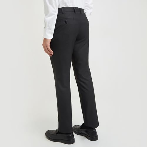 Image of Park Avenue Men Regular Fit Stripe Pattern Poly Viscose Blend Flat Front Formal Trouser
