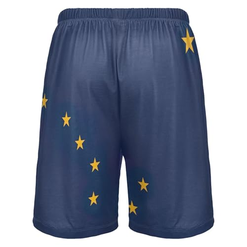 Cute Pajama Shorts for Men Sport Gym Pj Sleep Shorts Funny Soft Comfy Transgender Pride Flag Format S2