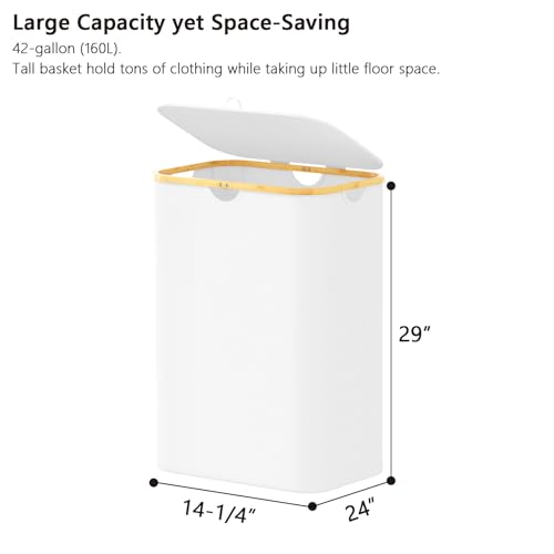 SpaceAid Double Laundry Hamper 2 Section with Lid and Removable Laundry Bags, 160L Clothes Basket with Bamboo Handles, Large Collapsible Hamper for Bedroom, Bathroom, Dorm, Laundry Room - White