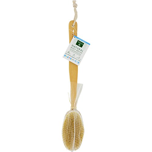 Preisvergleich Produktbild Earth Therapeutics Natural Body Brush - 1 Brush by Earth Therapeutics