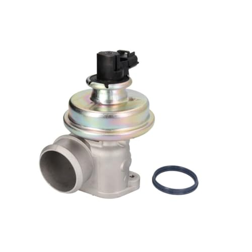 Pierburg 7.24809.07.0 EGR Valve