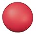 Champion Sports 7 Inch Coated High Density Foam Ball