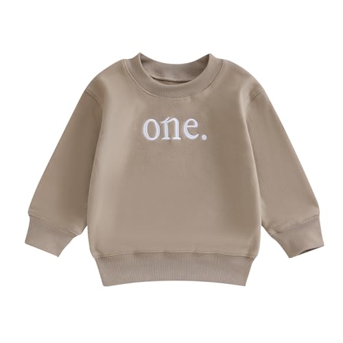 Toddler Baby Boy Girl One/Two Years Birthday Outfit Long Sleeve Embroidery Sweatshirt Shirt Crewneck Pullover Tops