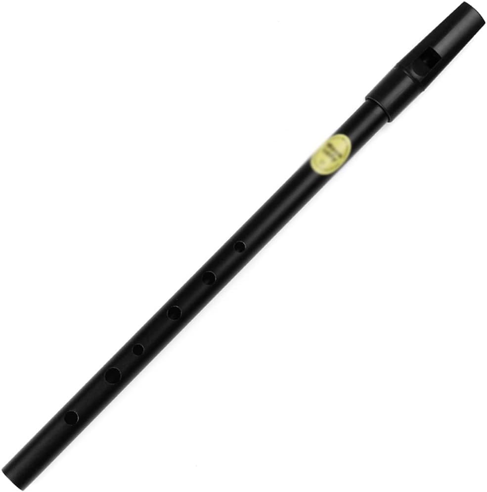 Wind Closed Hole D Key Silver Flute Instrument Whistle Woodwind