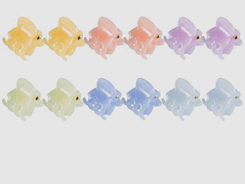 Fermagli per capelli Mini forcine per capelli per ragazze e donne, confezione da 12 (colore misto)
