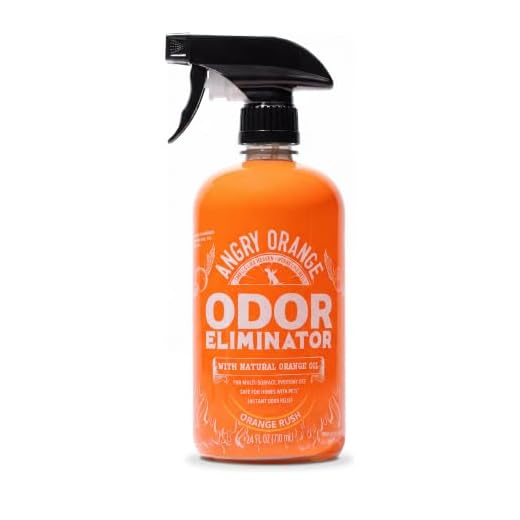 ANGRY ORANGE Pet Odor Eliminator for Dog and Cat Urine, Orange Rush, 24 oz
