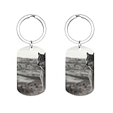 Niedlicher Wolf auf dem Gras Schlüsselanhänger für Damen und Herren, Edelstahl, personalisierter Foto-Schlüsselanhänger für Autoschlüssel, Ausweise, Kartenetui, Silbertasche, Charm, Geldbörsenanhänger