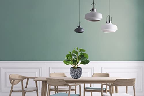 Alphaacc Mini Potted Artificial Plants Real Looking Plastic Fiddle Leaf Fig Plant With Rustic Black Cement Planter For House Office Desk Decor #TOP5