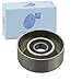 Blue Print Idler Pulley - ADM596511