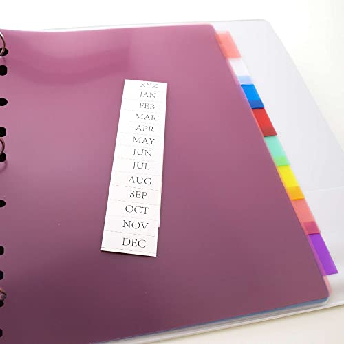 Bazic Binder Dividers W/ 8 Insertable Color Tabs, 11 Hole Punch Plastic Index Divider With Tab For Ring Binders (8/Pack), 24-Packs #TOP6