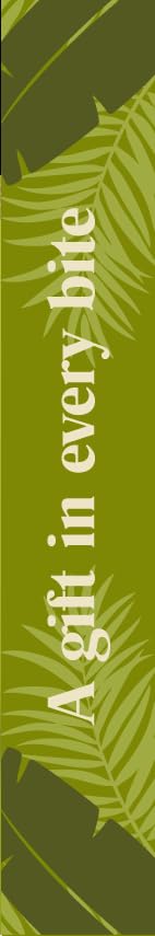 Image of FRONIA Dubai Kunafa Pistachio Chocolate Bar 100 x 4 Gm (Pack of 4) | Middle Eastern Style Chocolate with Kunafa & Pistachio Filling | Rich Dessert Chocolate for Gifting Snacking & Special Occasions