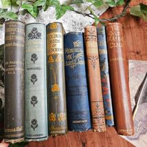 19世紀頃 アンティーク本洋書 Amazon.co.jp: ゜+ 19世紀 洒落たボタニカルイラスト付き表紙 ブルー