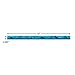 Eureka Seas The Day Blue Marine Animals Decorative Classroom and Bulletin Board Trim for Teachers, 2.25