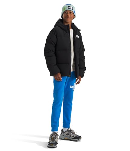 THE NORTH FACE Boys' North Down Hooded Jacket | 600 Fill Recycled Waterfowl Down Insulated, Water Repellent, Zip Pockets4