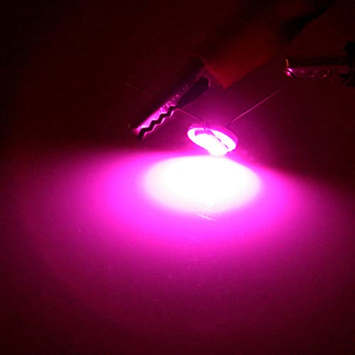 Cciyu 20Pcs 4.7Mm-12V Car Green For Mini Bulbs Lamps Indicator Cluster Speedometer Backlight Lighting (Purple) #TOP6