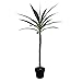 Vickerman Everyday Green Yucca Tree 44