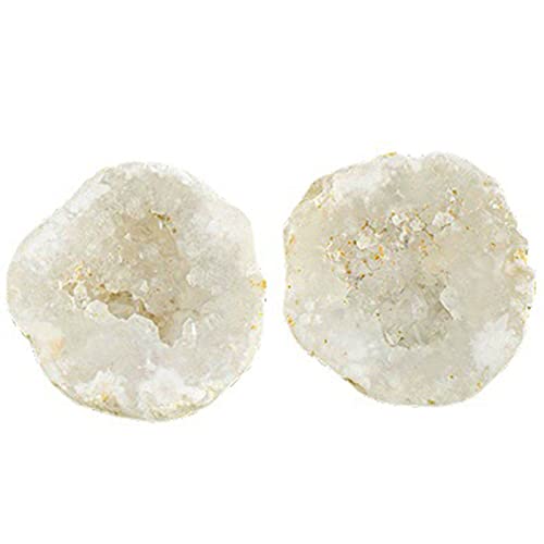 VOGGWBMQ mENH[c WI[h VR xƖړIɎgp NX^NX^[  I[igAAA[g[NAMtgA100-200g Mtg MZOGODWI (TCY:100-200g)