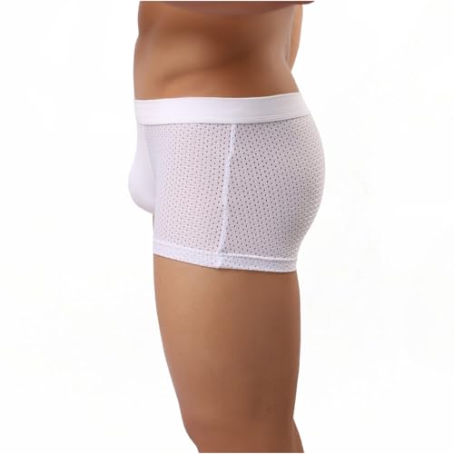 Men's Mesh Boxer Briefs Breathable Low Waisted Underwear Ice Silk Briefs for Men4