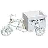 Porte-pot en forme de vélo : facile à intégrer à différents styles d'ameublement, ce produit réchauffe instantanément l'atmosphère de votre chambre ou de votre bureau et constitue un centre de table chic