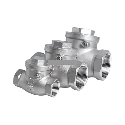 SS304/316 Stainless Steel BSP Thread Swing Check Non-Return Valve 1/4