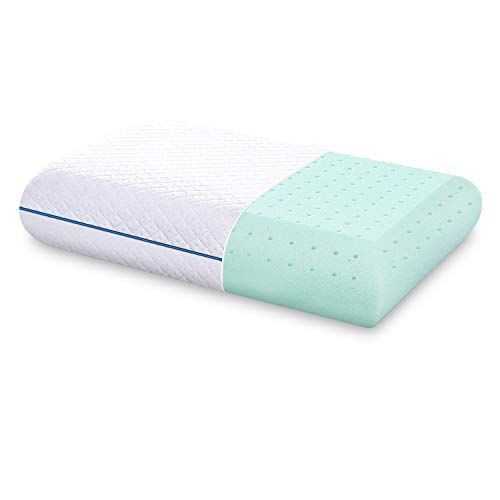 DOYEE Gel Memory Foam Pillow for Sleeping with Washable Removable Cooling Cover, Standard Size
