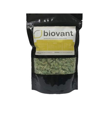Biovant Ferrous Sulphate worlds top Imported Water Soluble & Soil Fertilizer for all Plants and Garden - 1KG (B07MJKZS66) Amazon Price History, Amazon Price Tracker